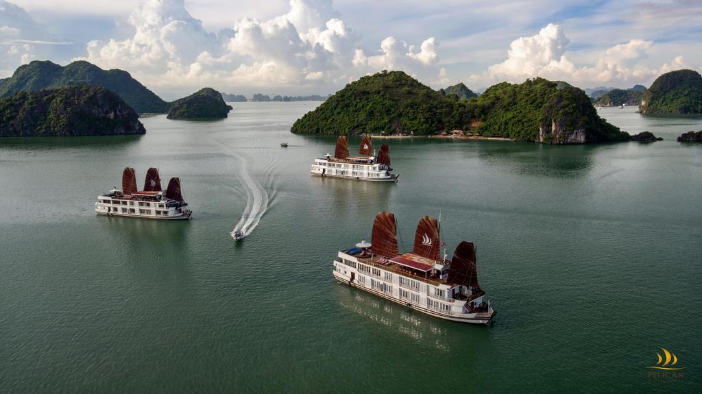 Pelican Classic Cruise Ha Long Eksteriør bilde